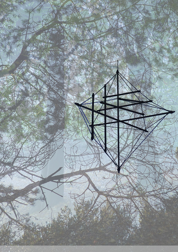 Tensegrity collage